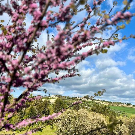 Agriturismo La Contea Senigallia Villa San Gaudenzio Kültér fotó