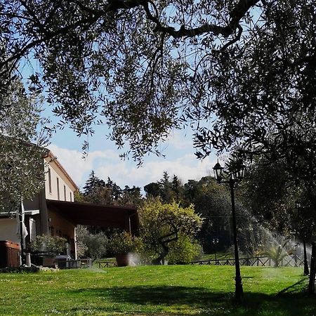 Agriturismo La Contea Senigallia Villa San Gaudenzio Kültér fotó